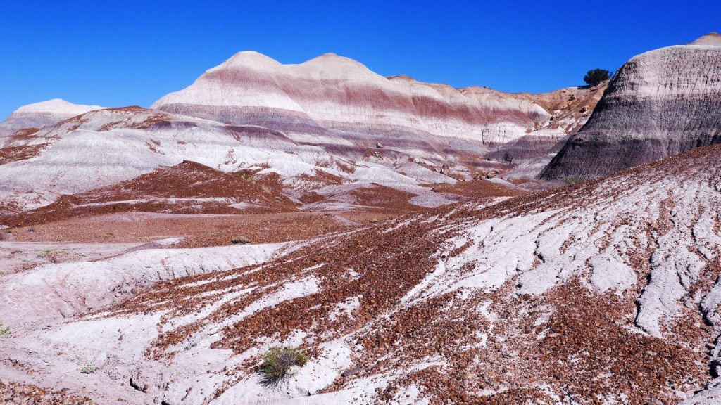 Painted Desert im Petrified Forest