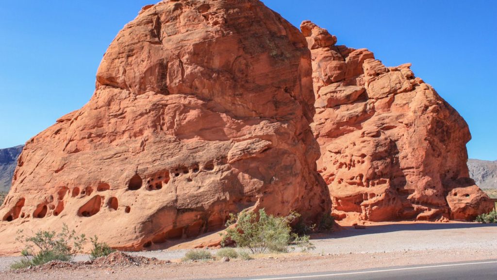 Beehives im Valley of Fire.