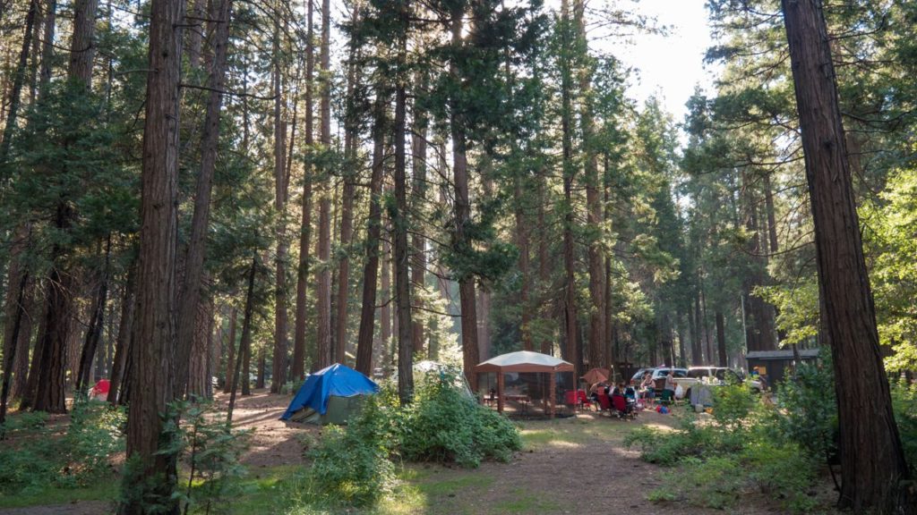 Camping in Yosemite.