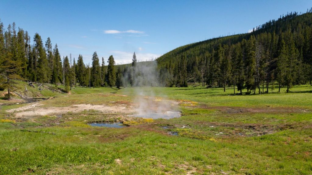 Dampfende Wiese in Yellowstone.