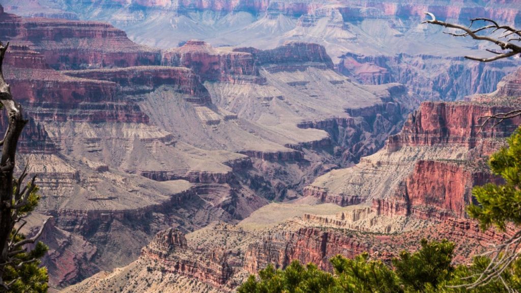 Ausblick auf den Grand Canyon vom North Rim