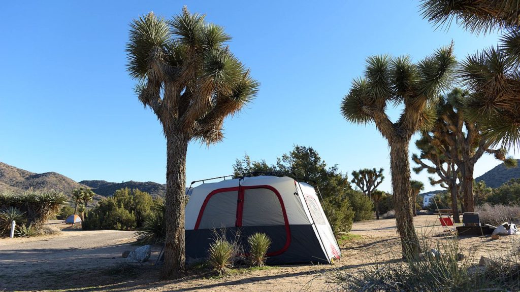 Zelt auf einem Campground in Joshua Tree
