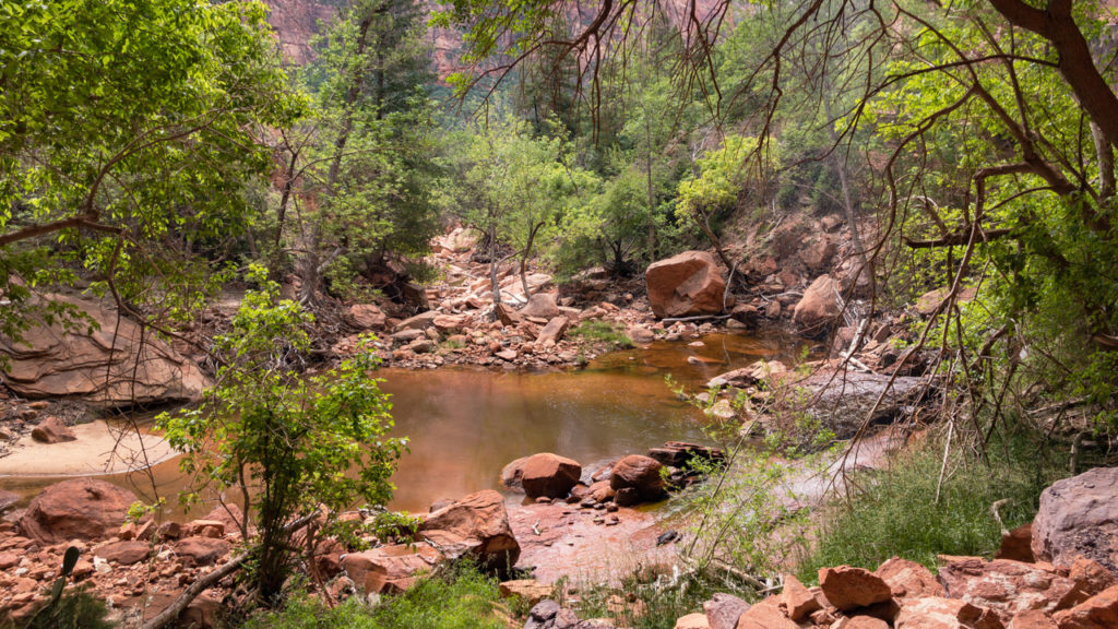 Lower Emerald Pools in Zion.