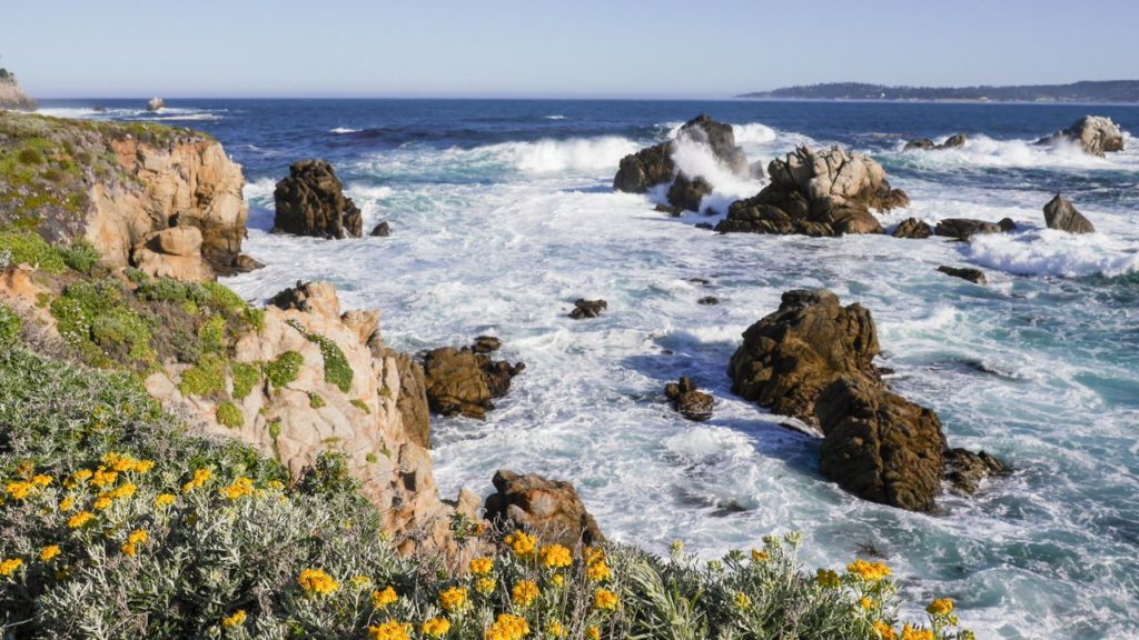 Ausblick auf die Küste in Point Lobos