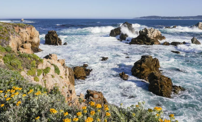 Ausblick auf die Küste in Point Lobos